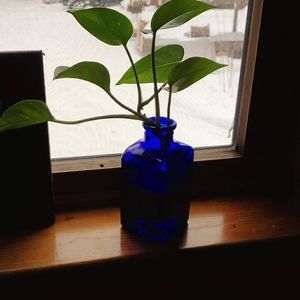 Meet your Posher, Jeanne